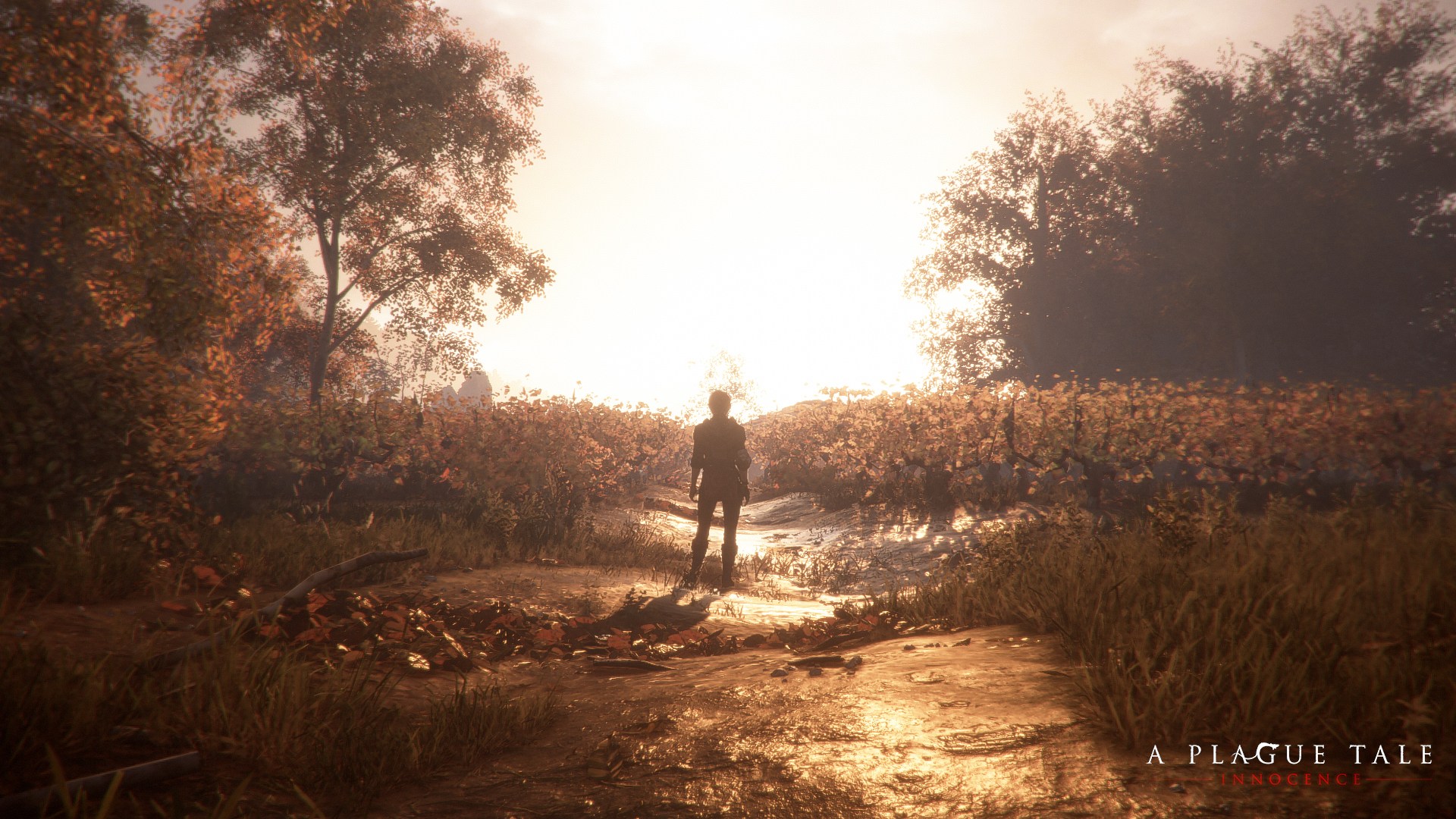 A Plague Tale: Innocence - Imagen 25